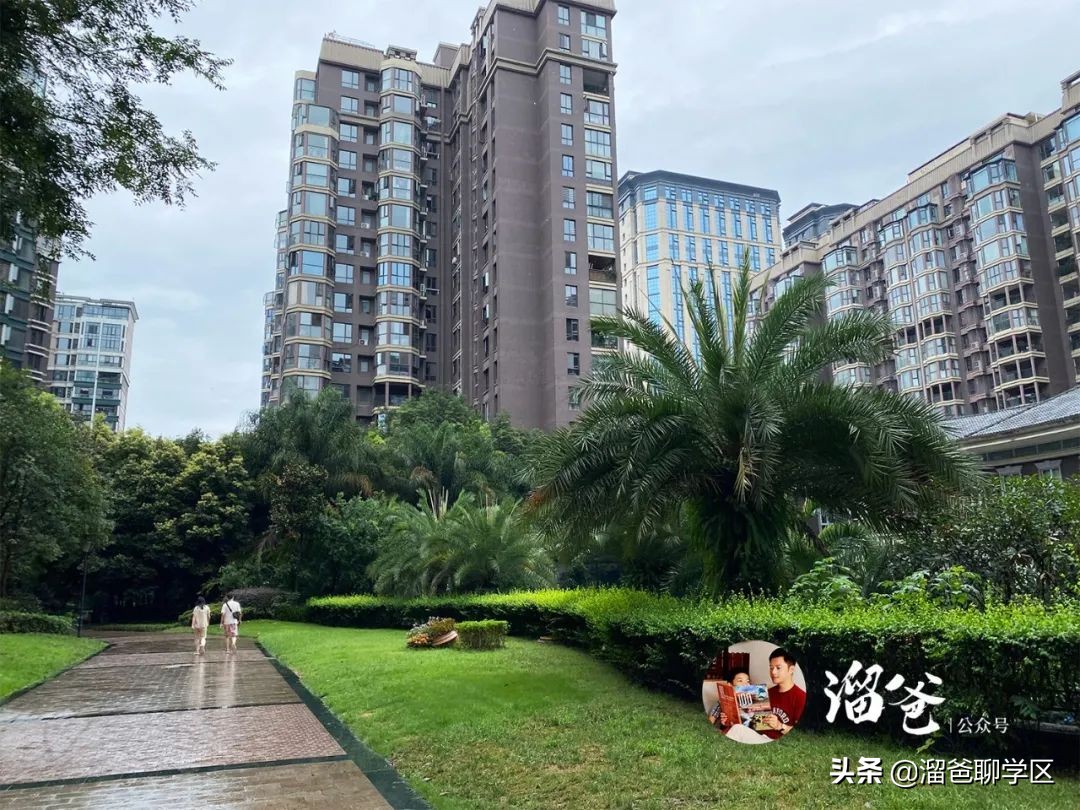 冯家湾村拆迁,神仙树冯家湾片区