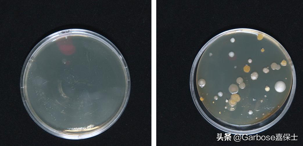400平米空气净化器测评哪款最好,50元纳米科技空气净化器测评