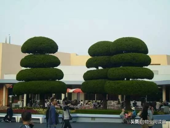 小区绿化养护一般做哪些工作,小区绿化养护需要什么资质