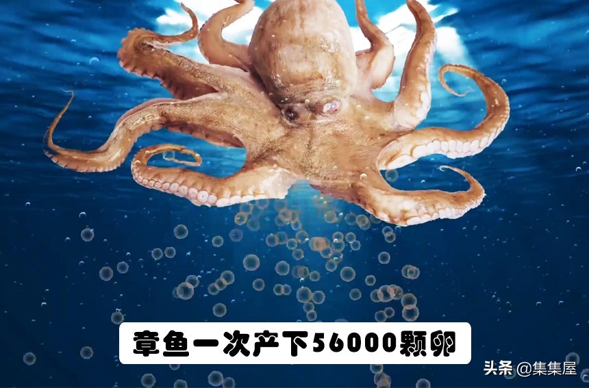 有趣的网络小知识,网络世界确实很有趣