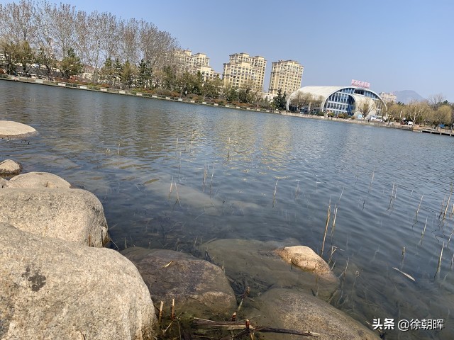 青岛李村哪里值得逛,青岛李村回忆