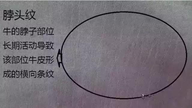 真皮沙发牛皮能修复吗,牛皮上的疤痕怎么去除