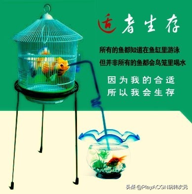 个人经典简历封面,求职简历经典