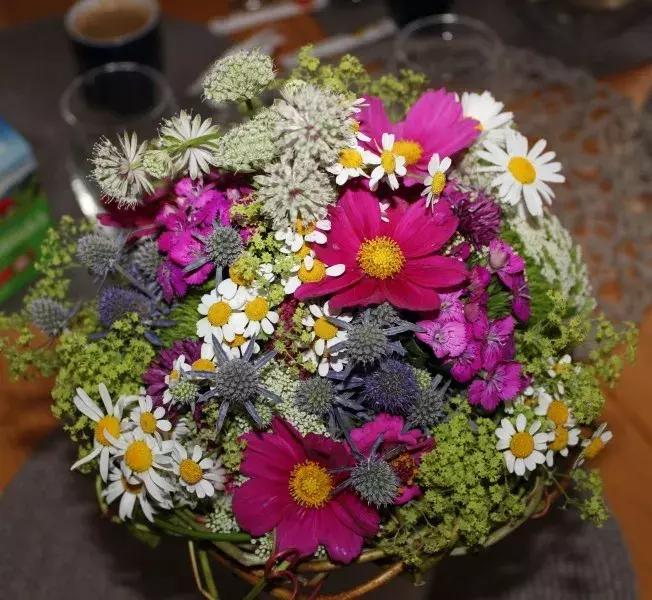 一位老人写给女儿的信短短10句话,一位老人给儿女写的信短短十句