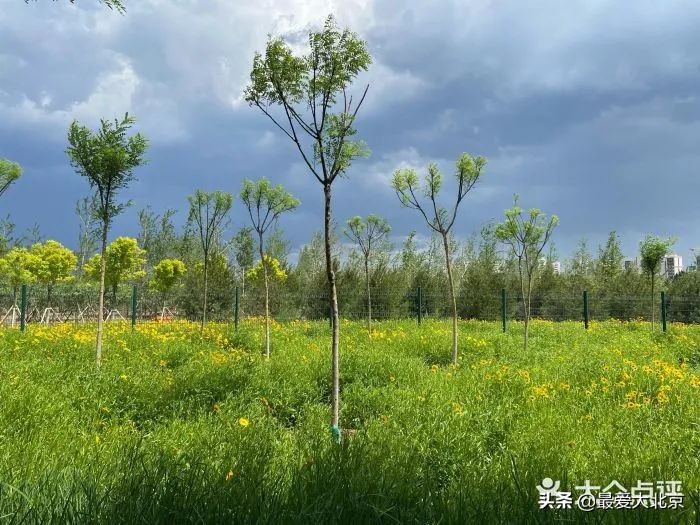 京城新增一“小江南”！免费人少