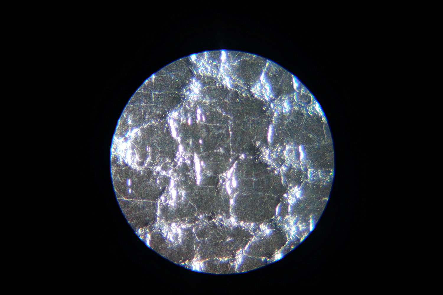 星特朗显微镜型号,星特朗便携式显微镜