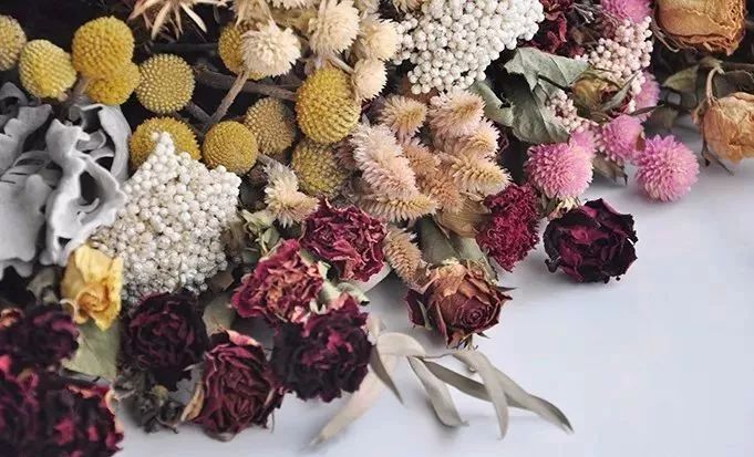 鲜花和干花的不同美感,有哪些花可以制作干花