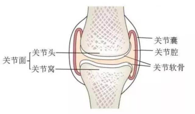 关节一动就咔咔响是怎么回事,关节一动嘎嘎响怎么回事