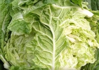 园林蜗牛虫害怎么消灭,菜园蜗牛怎么治最好