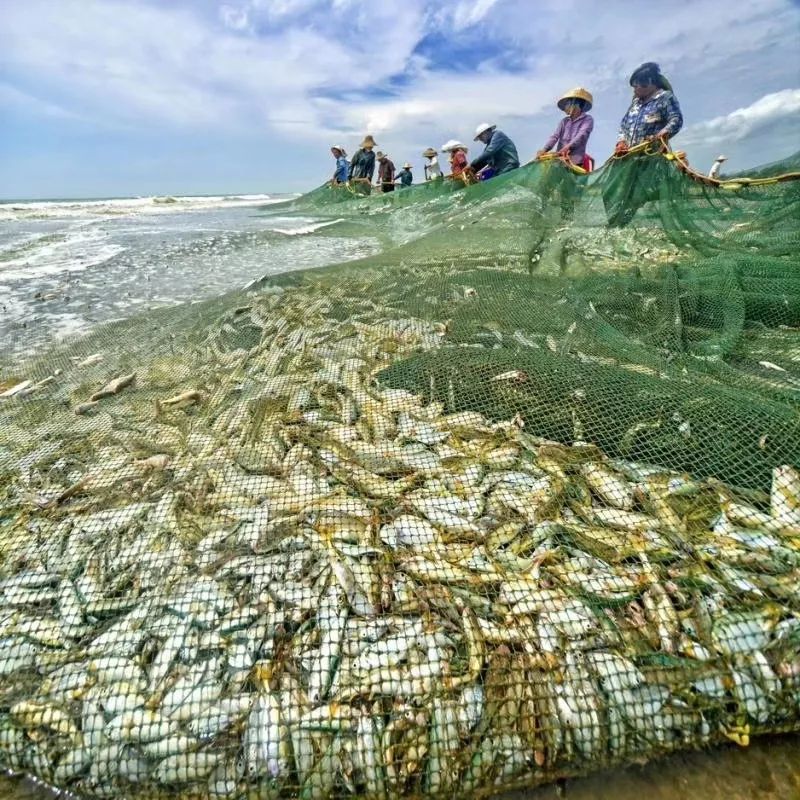 距海南仅20km，这个处女地比台湾风情、比三亚便宜，你错过了吗？