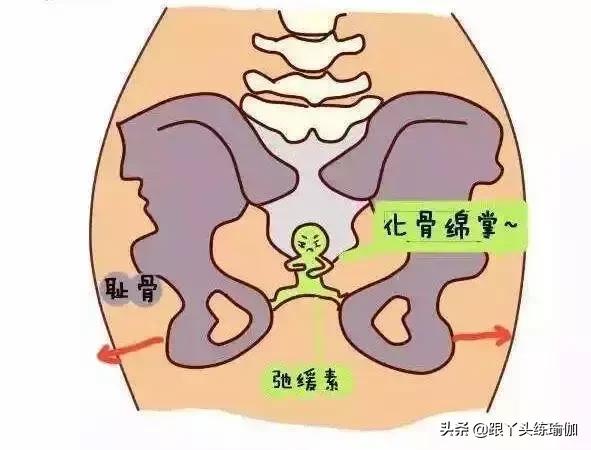孕妇瑜伽每天必练8个动作图片,孕期瑜伽10个经典动作加图片