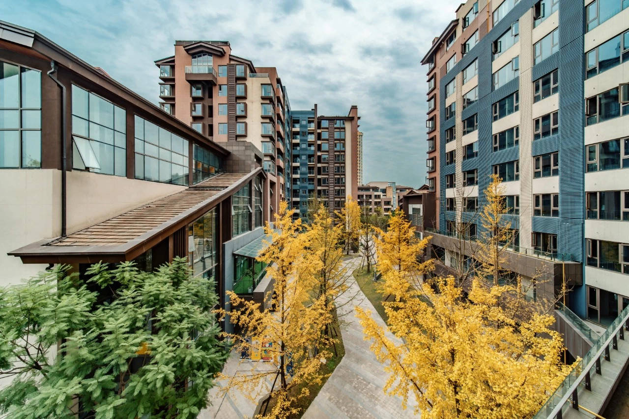 “低配版”麓山：诱人的低价与明显的硬伤，想好了没？