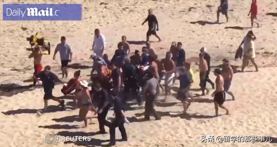 在海里遇到鲨鱼怎么才可以逃生,在海里碰到鲨鱼怎么办