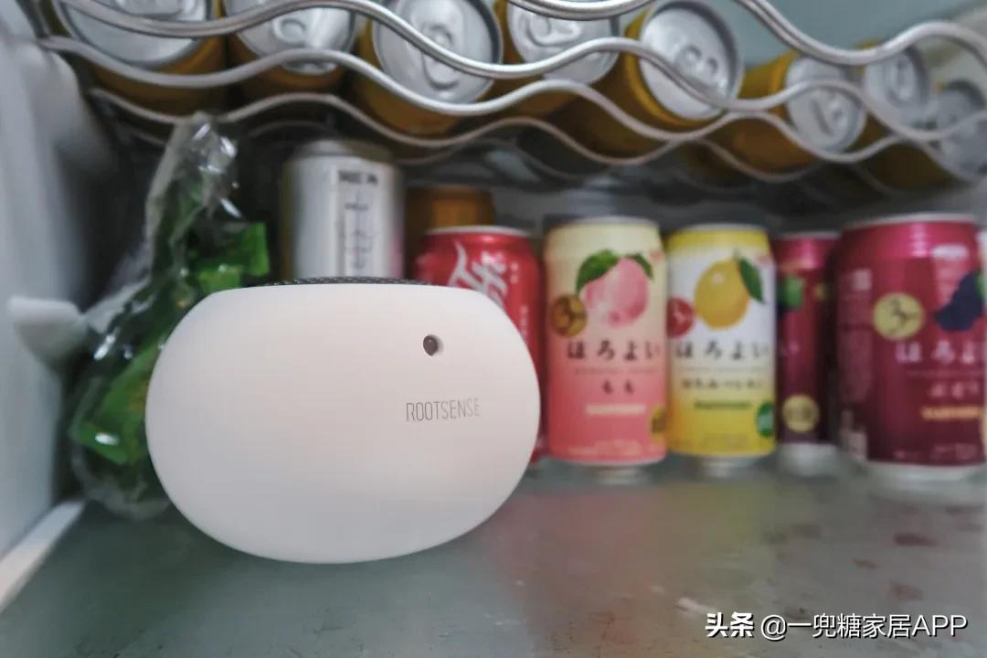 被冰箱PUA的年轻人:“妈!救救我吧!”