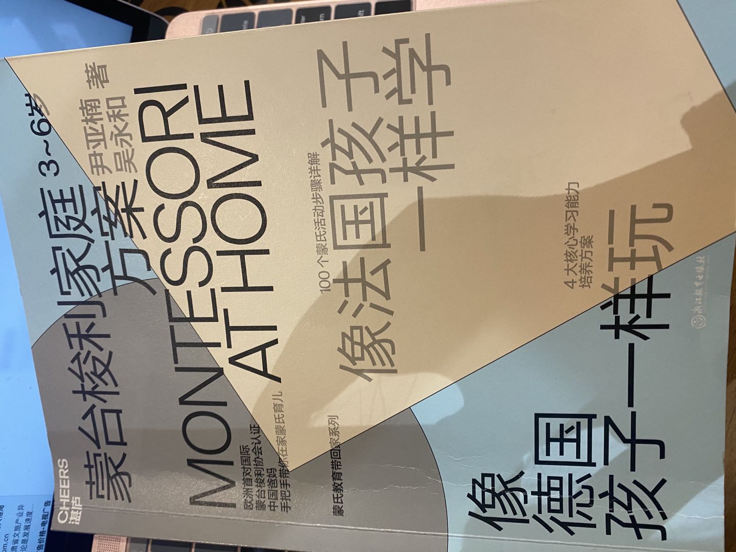 读书：蒙台梭利家庭方案-像法国孩子一样学，像德国孩子一样玩