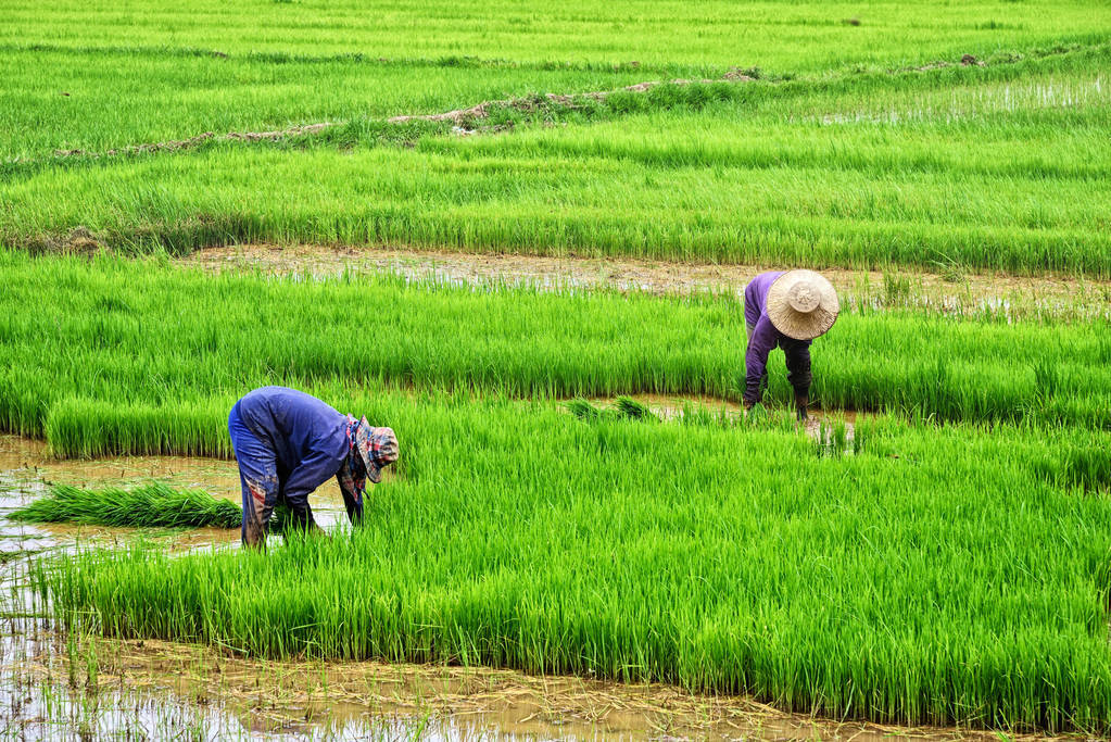 人在大自然面前是多么渺小诗句,人在大自然的面前多么的渺小