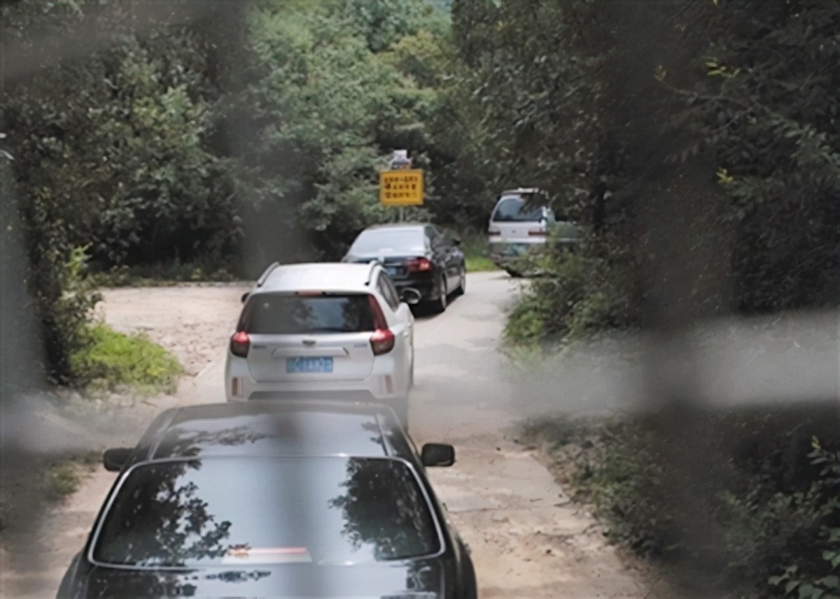 老虎咬死人事件真相,八达岭老虎咬游客事件