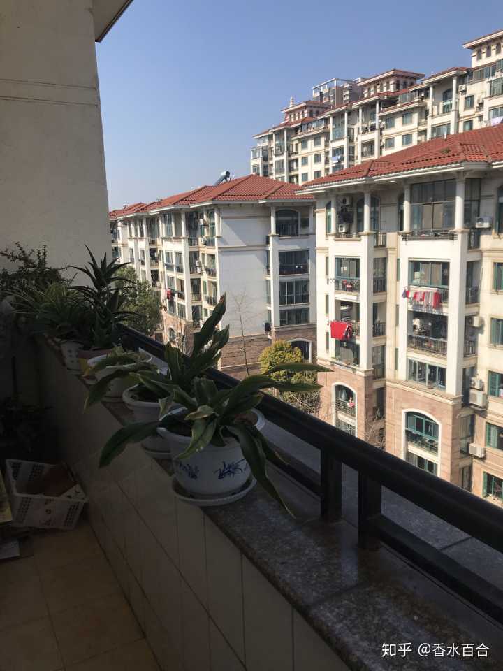 买了高层的人怎么样了,买了顶楼的房子后悔了吗