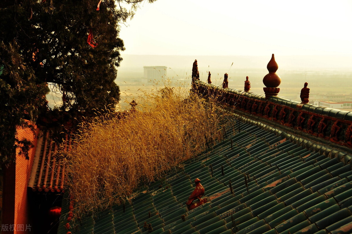 运城市十三县市有哪些,运城十三个县市有哪些