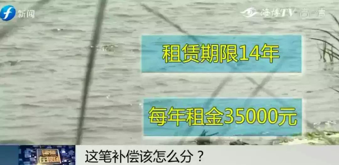 闹心|眼看快收成了,却遇上了麻烦事!这笔清退补偿究竟该怎么分?