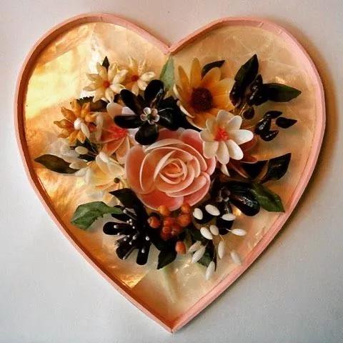 海边捡的贝壳可以做什么手工,贝壳创意手工种花