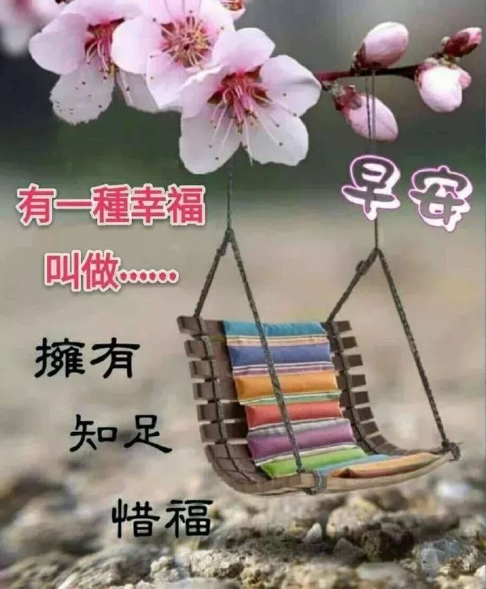 情没有密码，只有用心；爱没有模式，只能珍惜，早安