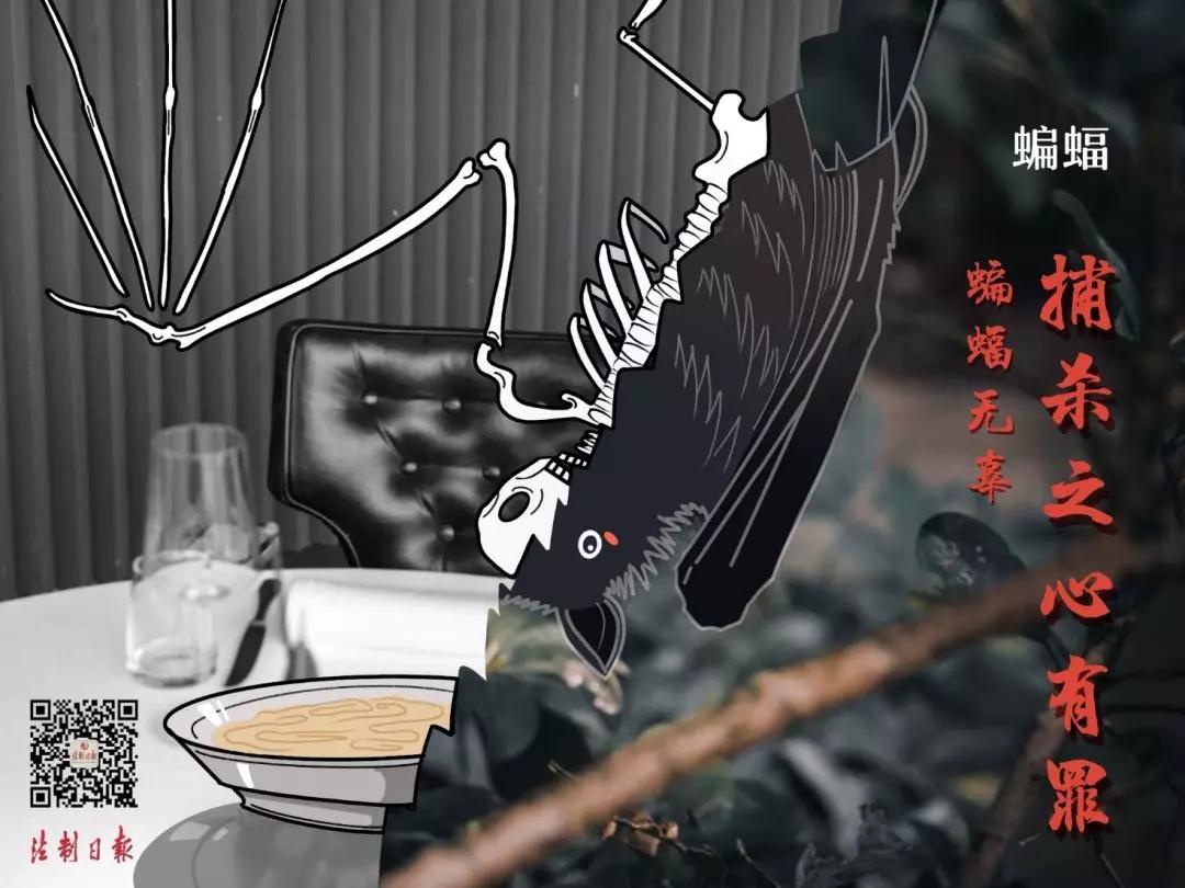 远离野味的漫画,拒绝野味漫画