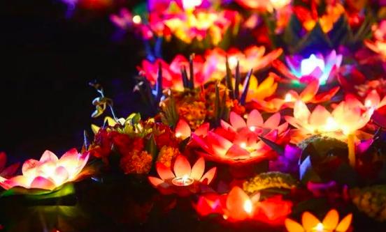 西双版纳泼水节野象谷,西双版纳旅游野象谷全攻略