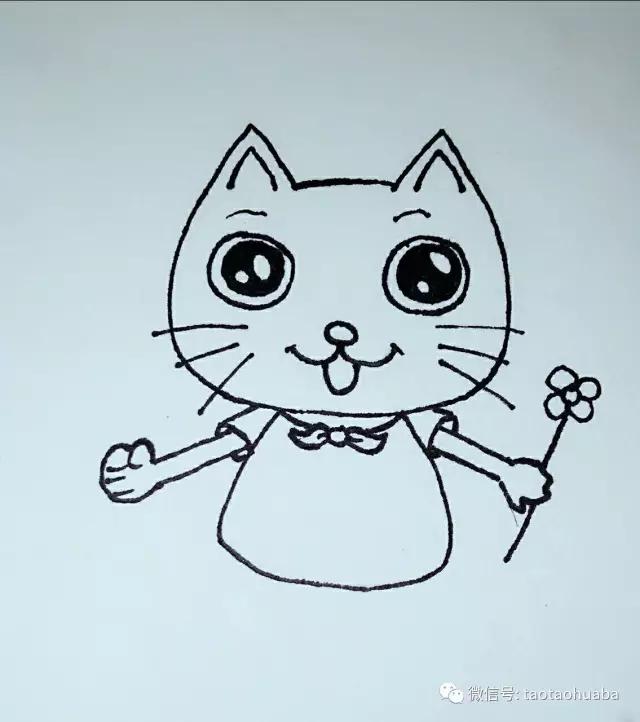 我是可爱小猫咪视频,我是一只可爱的小猫咪