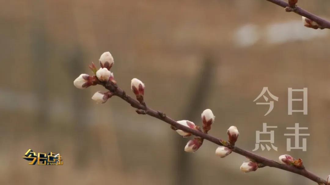 铜川印台脱贫攻坚,铜川印台区脱贫户