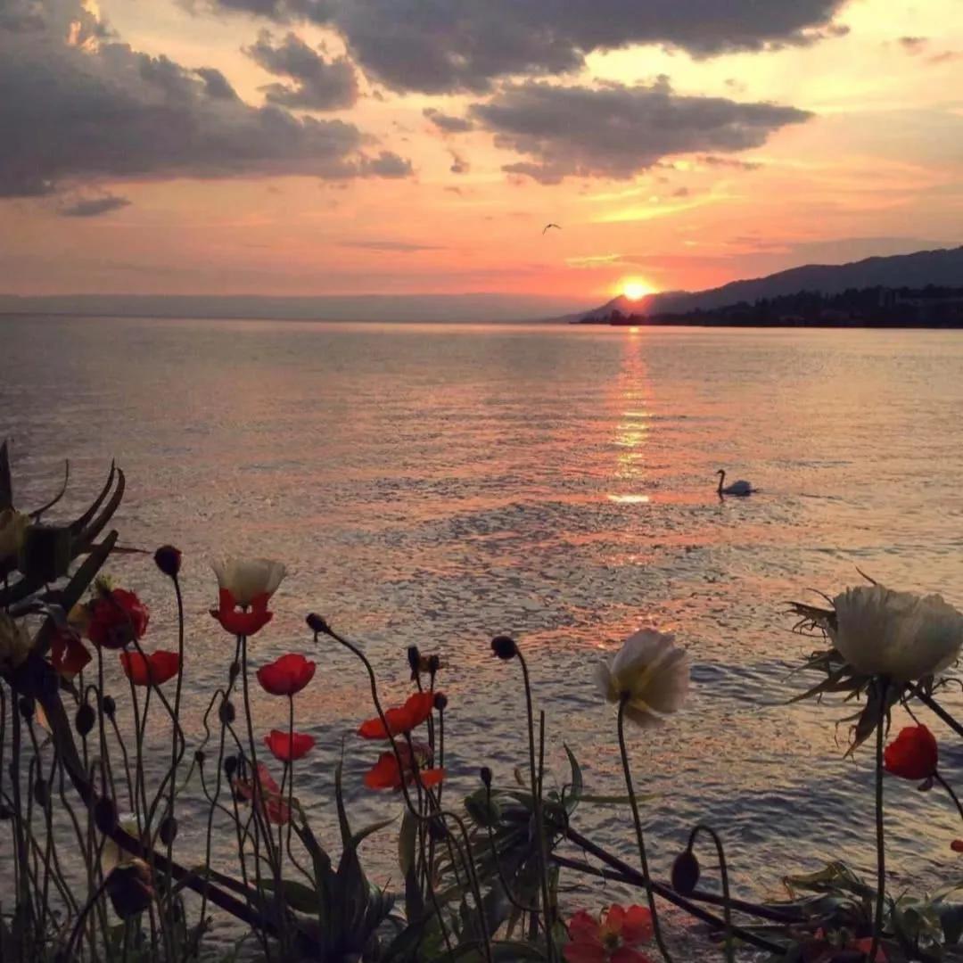 朋友圈背景图有病,朋友圈背景图包