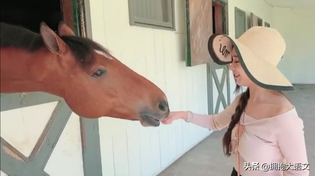 北大杨慧琴直播平台,北大杨慧琴个人资料哪里人