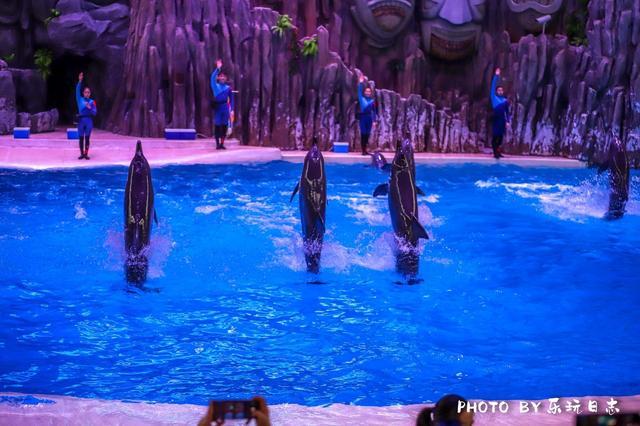 来珠海亲子必打卡景点，人工飘雪海洋动物表演，最适合周末亲子游