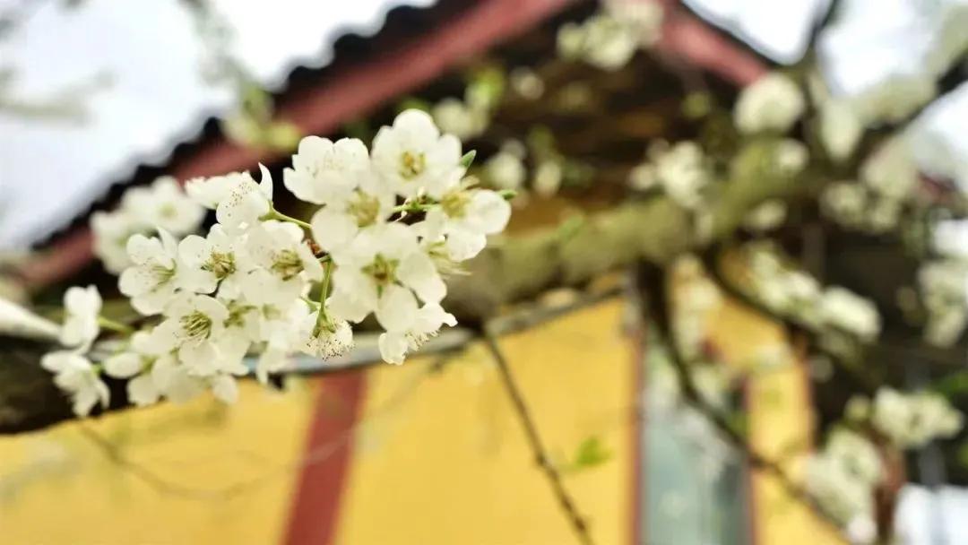 双节星空摄影作品欣赏,一组美丽的星空摄影作品