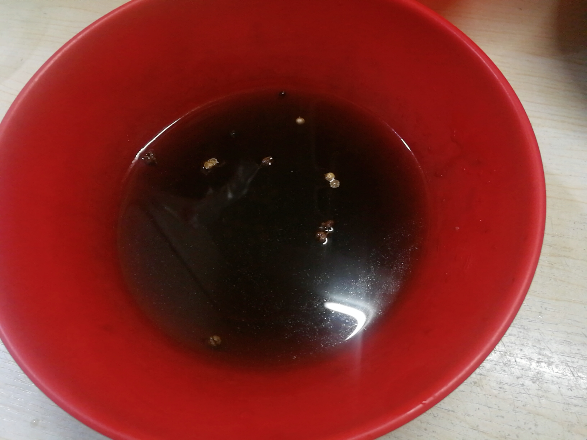 包牛肉饺子用什么菜调馅最好吃,伏天做什么馅的饺子好吃