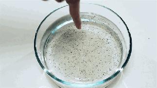 6种水的科学小实验,4个关于水的神奇有趣科学小实验