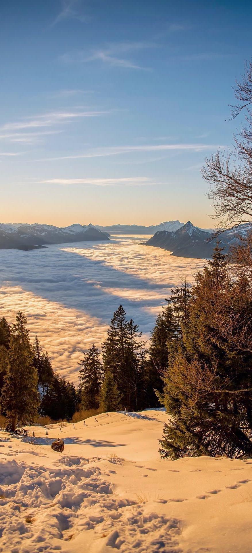 3d壁纸卡通风景壁纸,高清风景壁纸手机壁纸