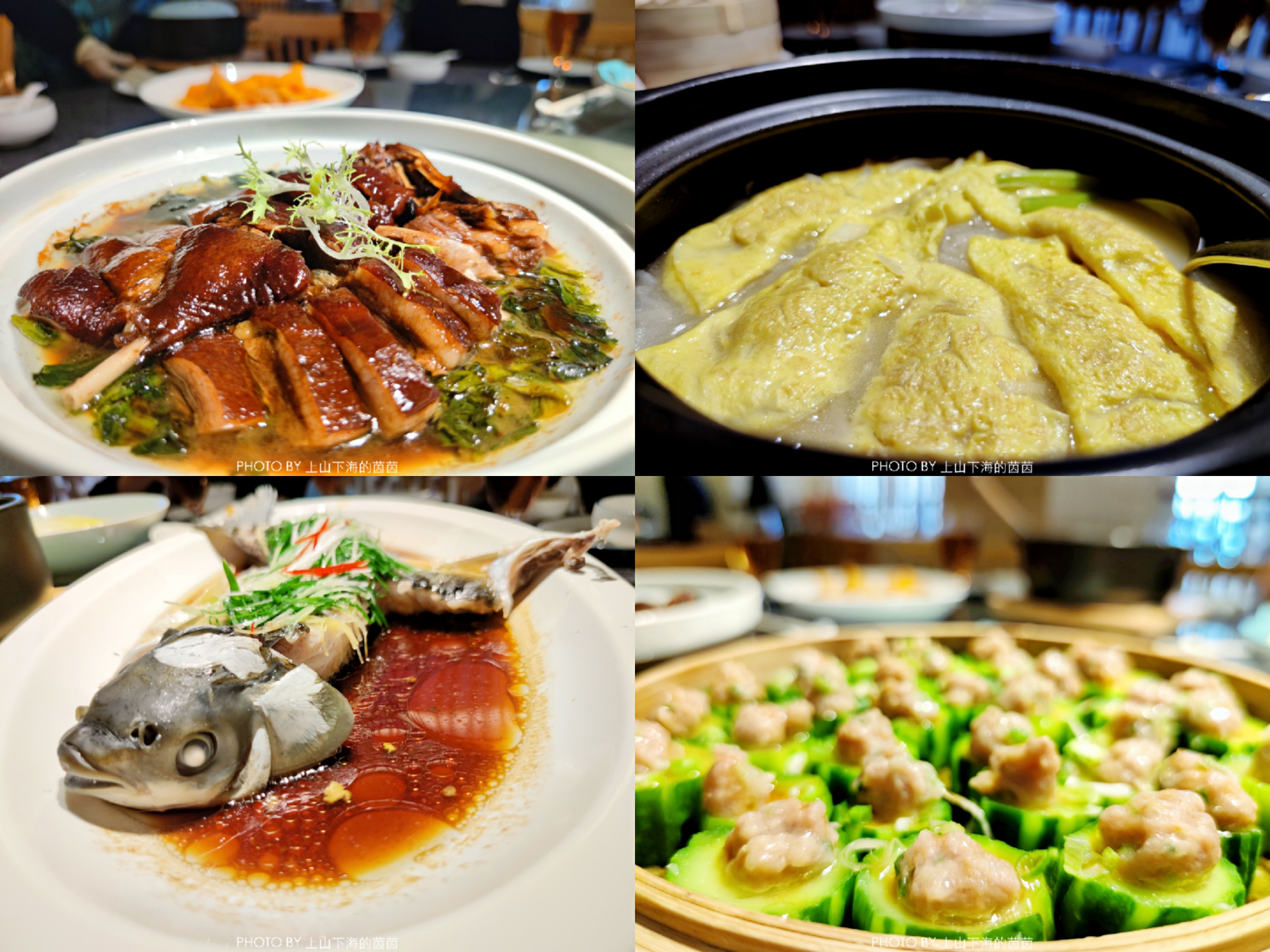 白水寨森林海乐园有什么玩的,白水寨附近免费景点