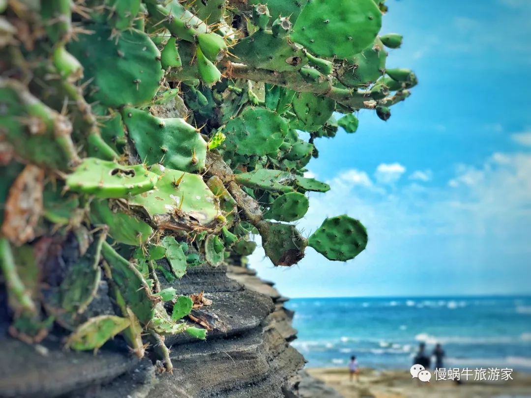 这个南国海岛高铁直达，海鲜超级便宜大人不累、孩子很开心