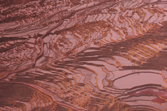 红河梯田和元阳梯田面积,元阳梯田也叫红河哈尼梯田