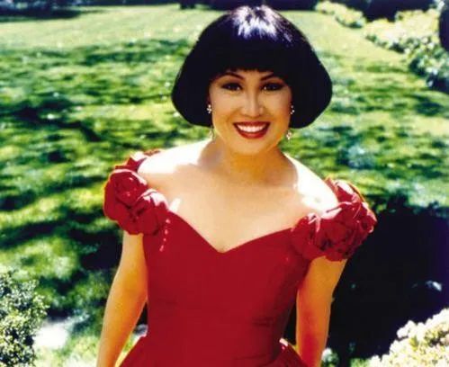 靳羽西人生经历,靳羽西个人经历