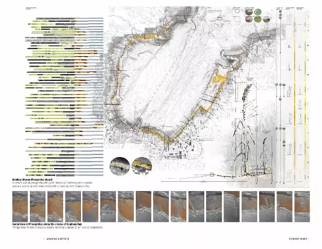 我虽然画图和设计做的不怎么样，但是排A1展板还是很OK的