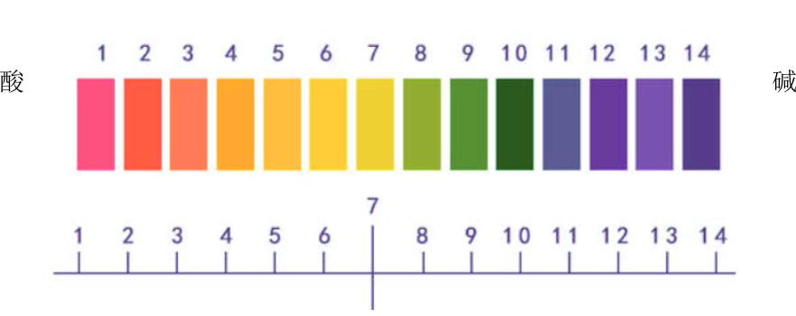 怎么辨别酸碱性体质,怎样判断物质酸碱性