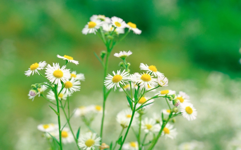 公司要求员工转发朋友圈怎么办,公司强制员工转发朋友圈去哪投诉