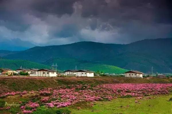 这是最值得收藏的旅行清单，顺着24节气，带娃游遍中国