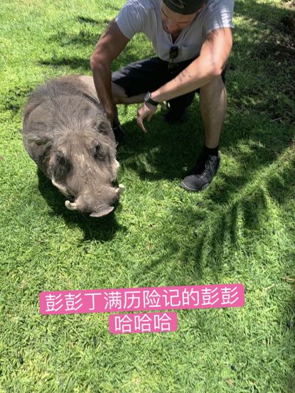 假期撒手没的戏精同事们,竟然在我挤春运的时候吹海风??(下)