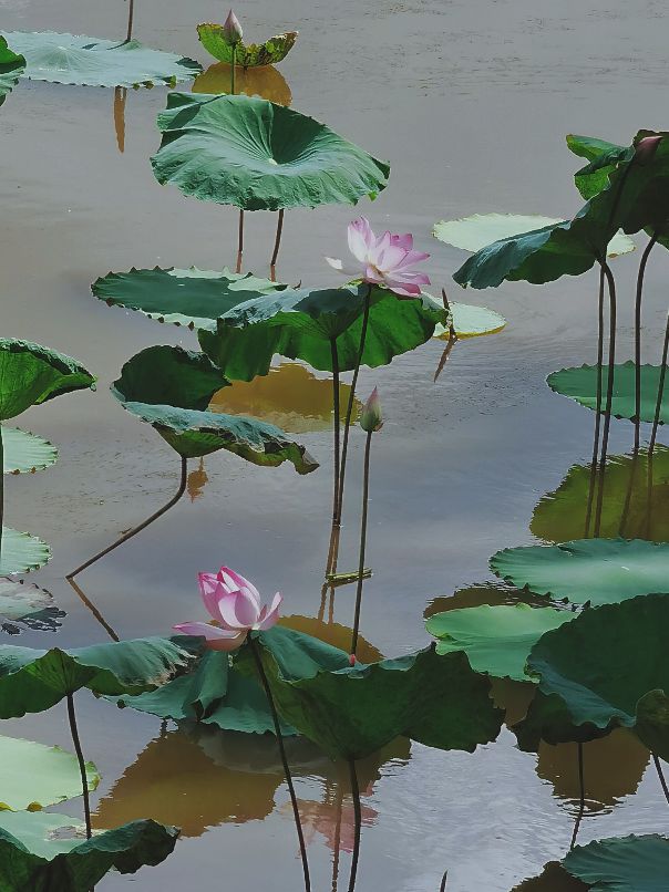 广州好玩的亲子农场,亲子农场广州