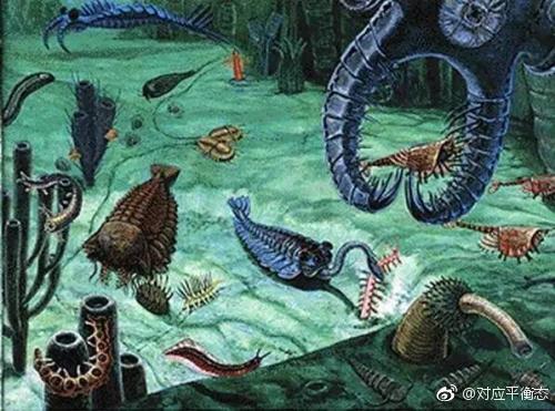 生命到底是怎样产生的