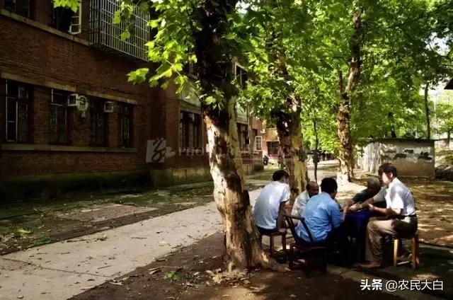 春节特辑：给过年回家的朋友看看《关于株洲331的回忆》