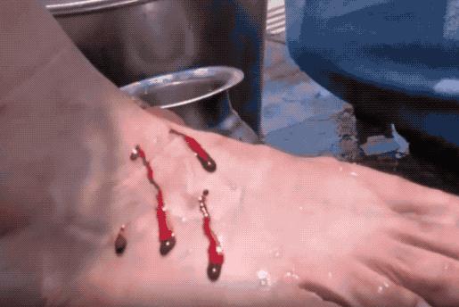 解剖尸体破案电影,解剖尸体破案电视剧